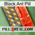 Black Ant Pill new01